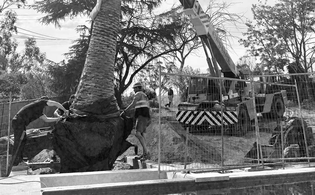 Landscape Construction