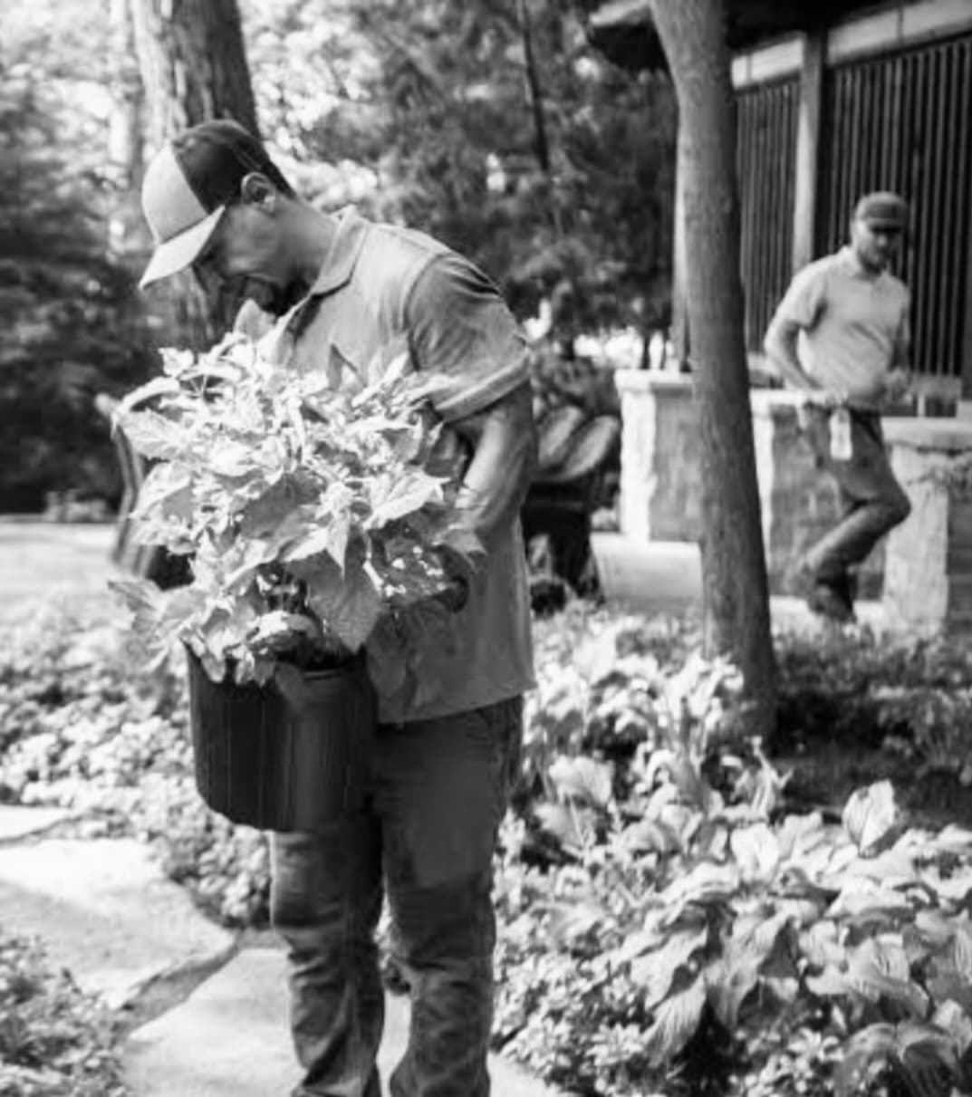 Botanica Landscaping Team