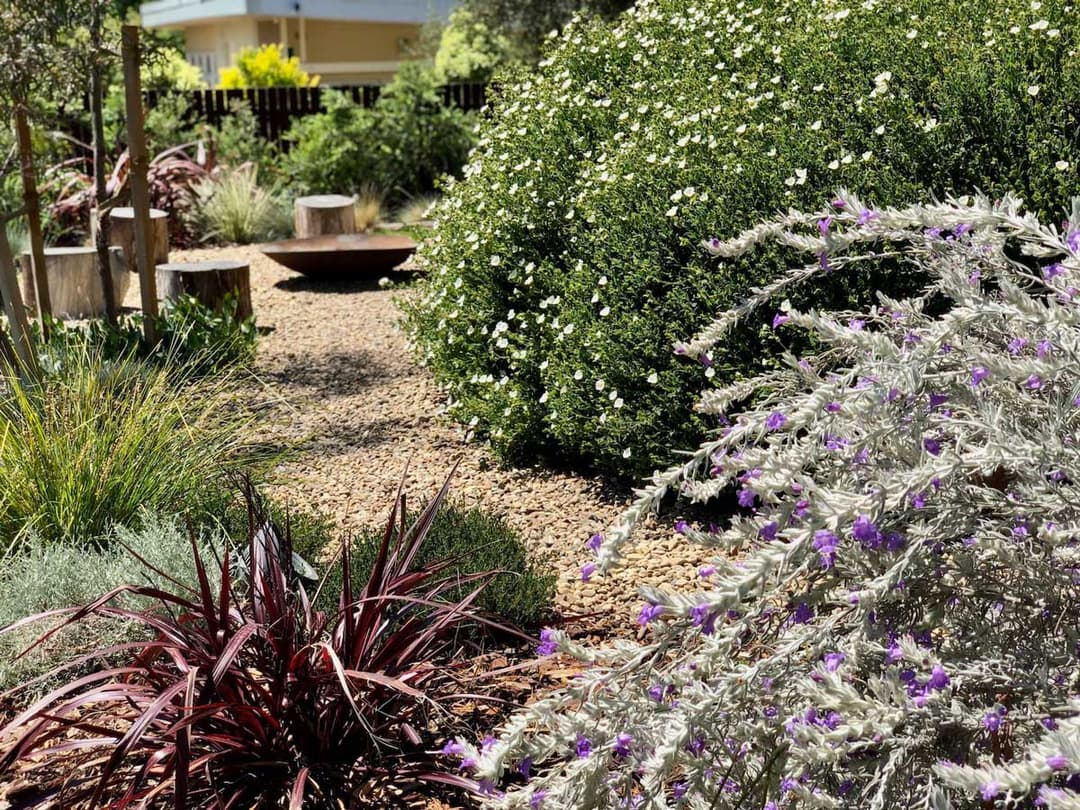 Botanica Landscapes Services